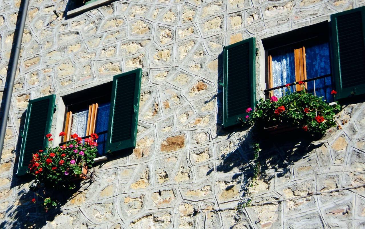 Andante appartamenti Castelnuovo di Val di Cecina Extérieur photo