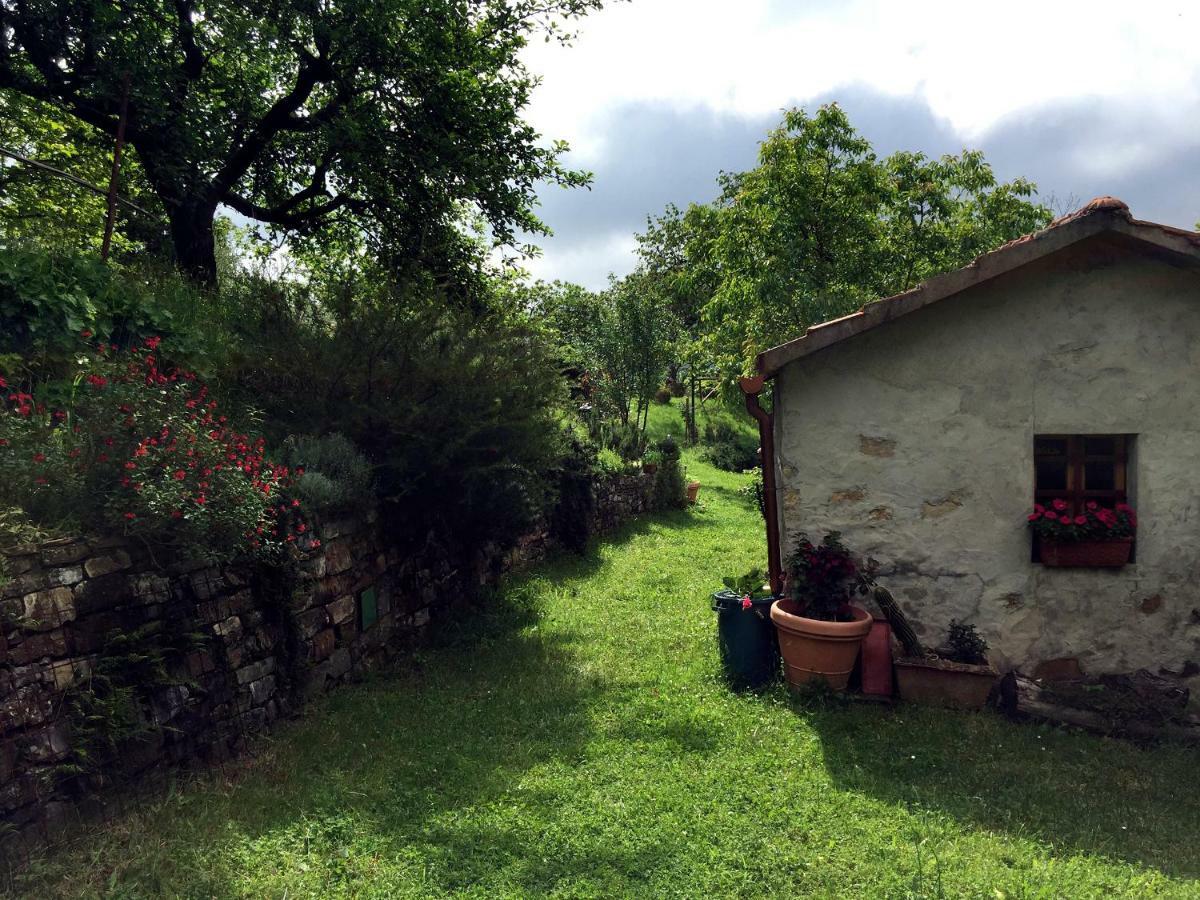 Andante appartamenti Castelnuovo di Val di Cecina Extérieur photo
