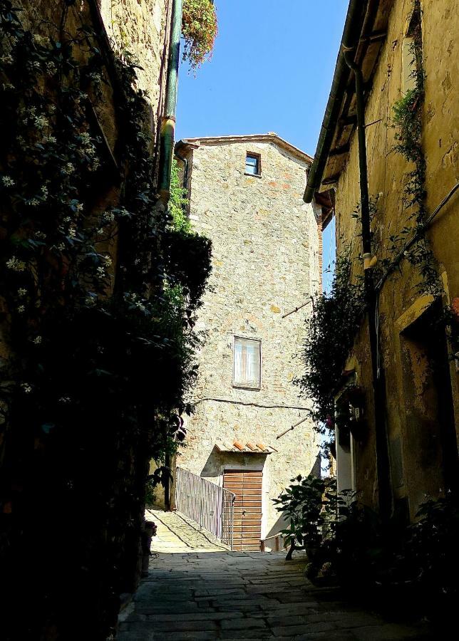 Andante appartamenti Castelnuovo di Val di Cecina Extérieur photo
